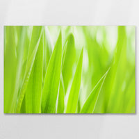 AC-090W060
