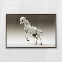 LWN120W080