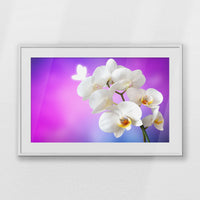PWP100W070