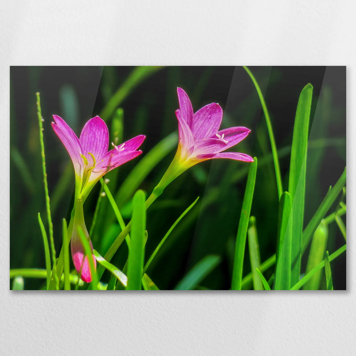 AC-075W050