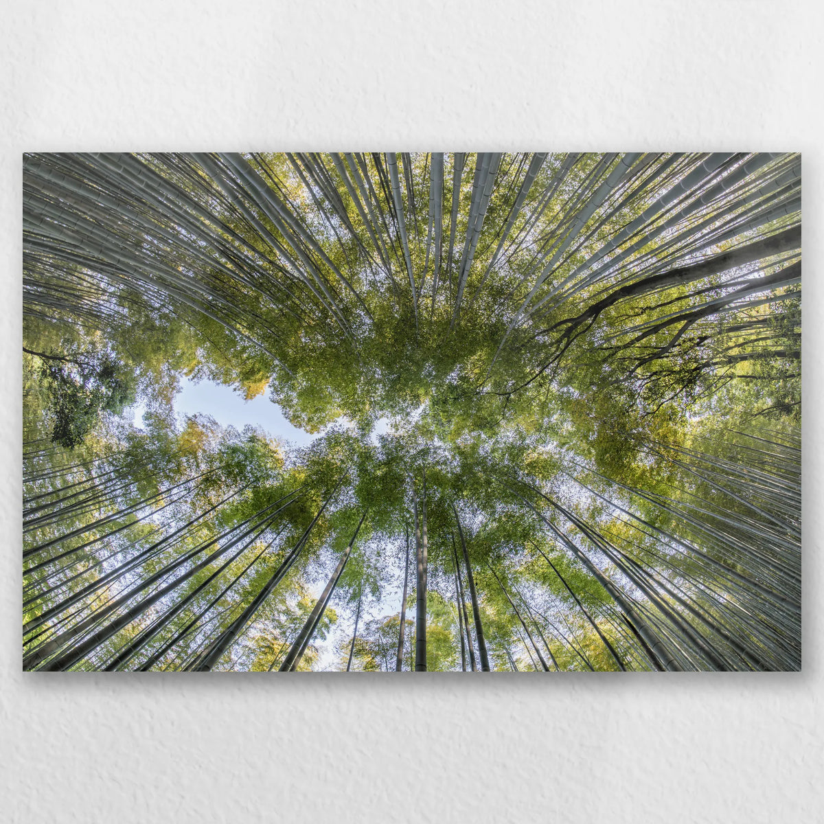 AL-060W040