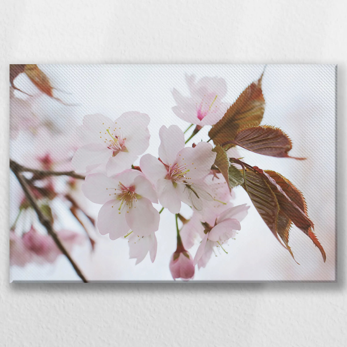 LW-045W030