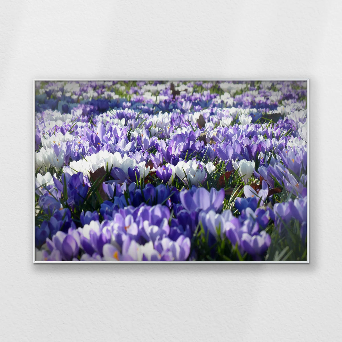 PS-100W070