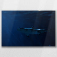 LW-045W030