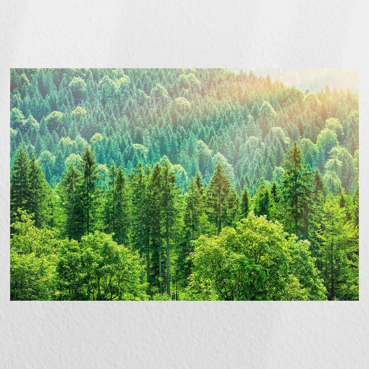 PO-030W020