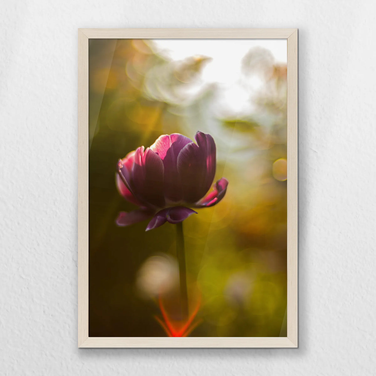 PN-040W060