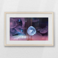 PNP060W040