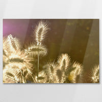 AL-090W060
