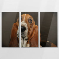 AL-090R060