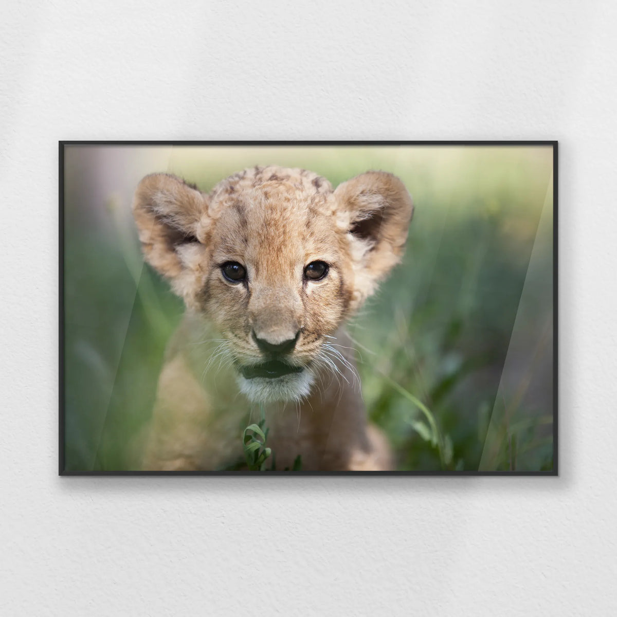PB-093W062