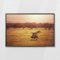 LWN120W080