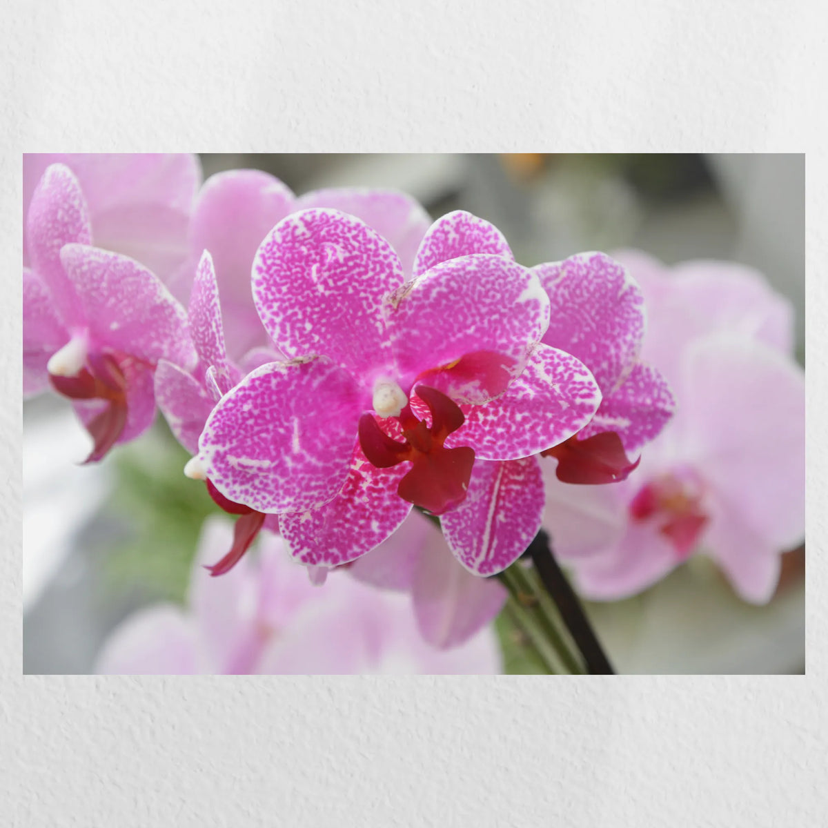 PO-030W020