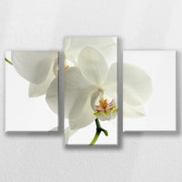 LW-060T040