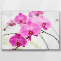 LW-060W040