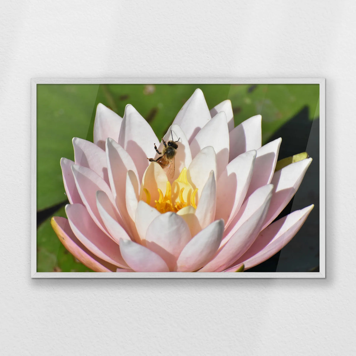 PW-093W062