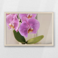 PN-060W040