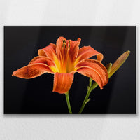 LW-075W050