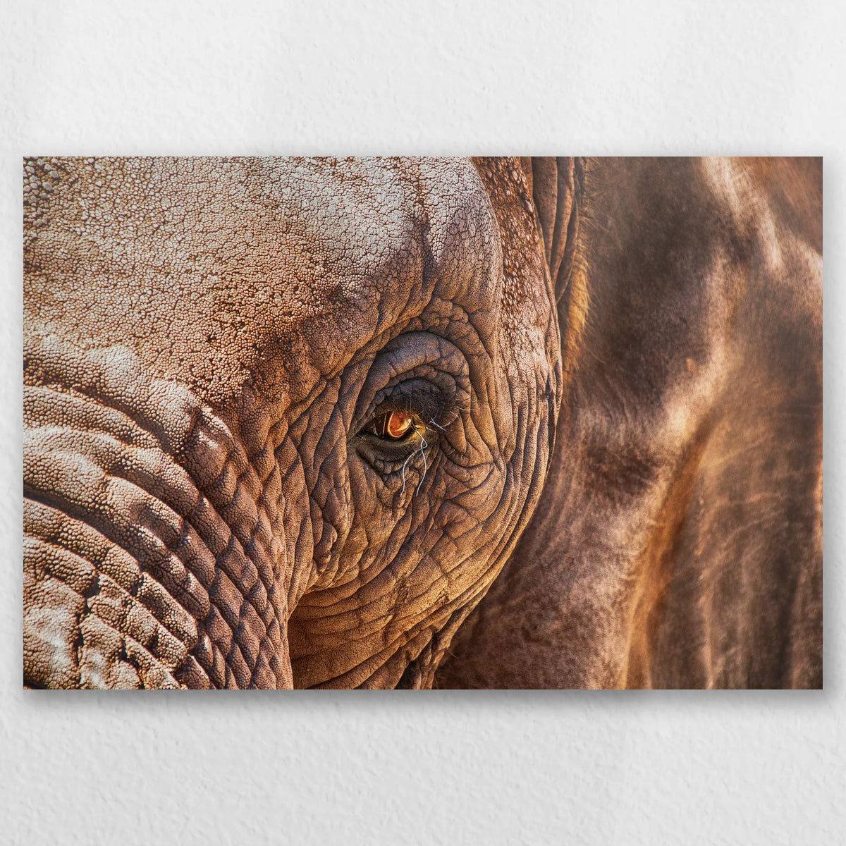 AL-060W040