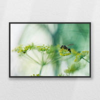 PB-060W040