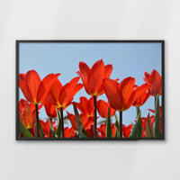 LWB100W070
