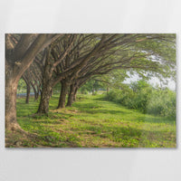 AL-090W060