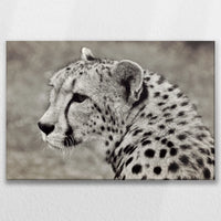 LW-075W050