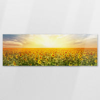 AL-150P050