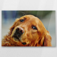 AL-045W030