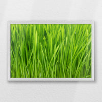 PW-060W040