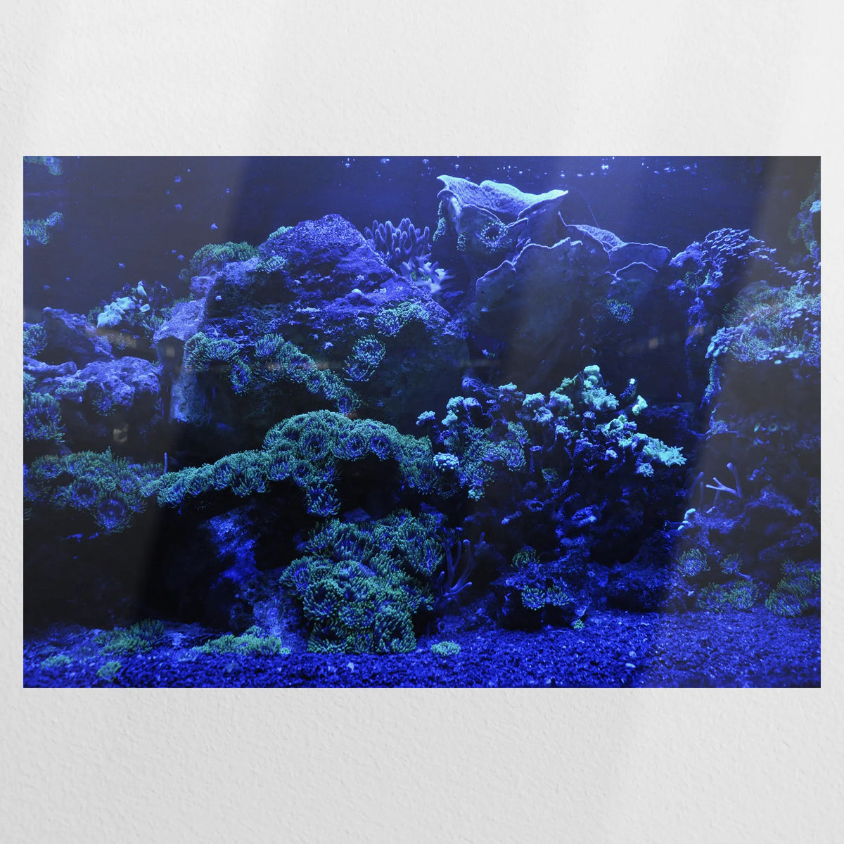 PO-075W050