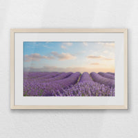 PNP060W040