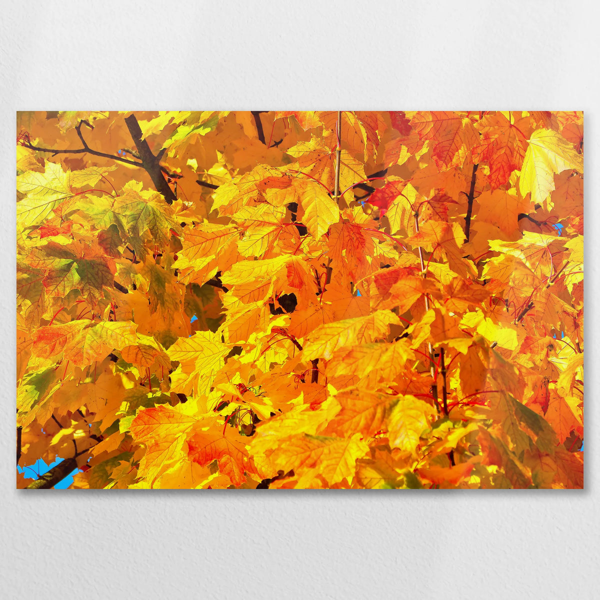 AL-090W060