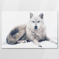 AC-090W060