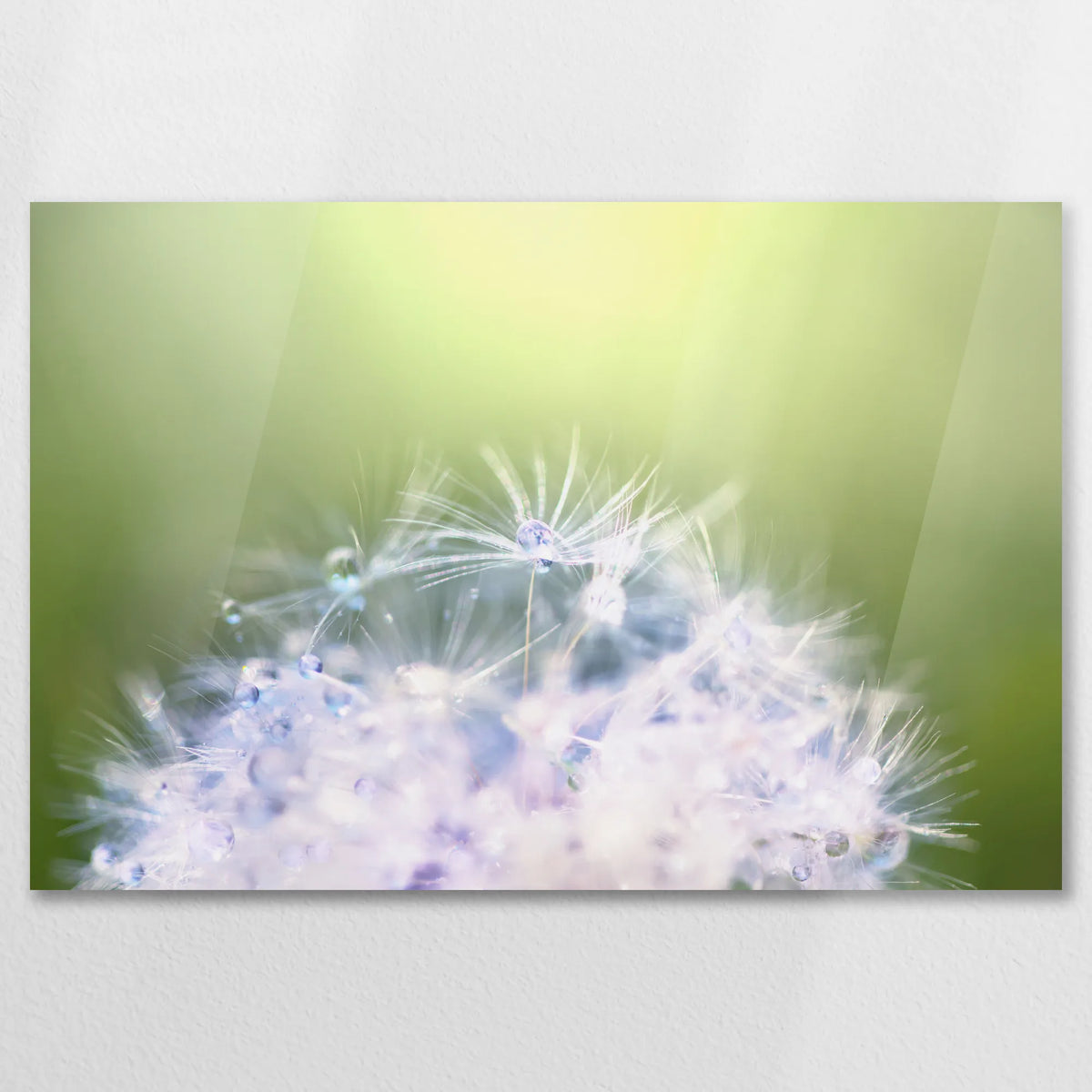 AC-075W050
