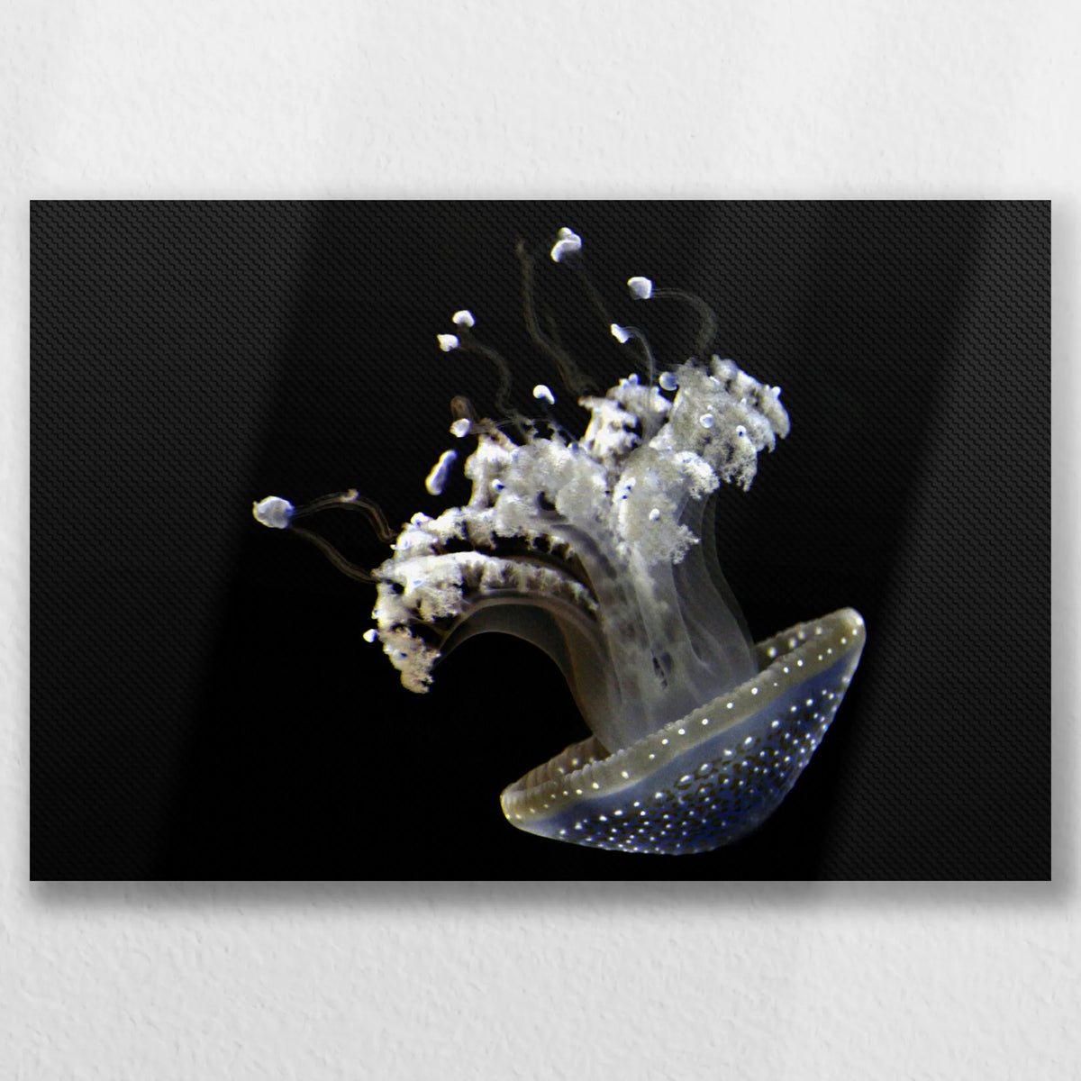 LW-045W030