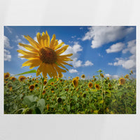 PO-090W060