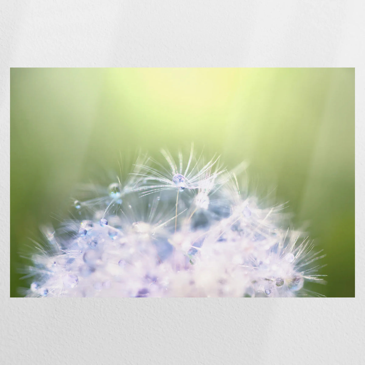 PO-075W050