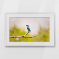 PWP093W062
