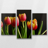 LW-090T060