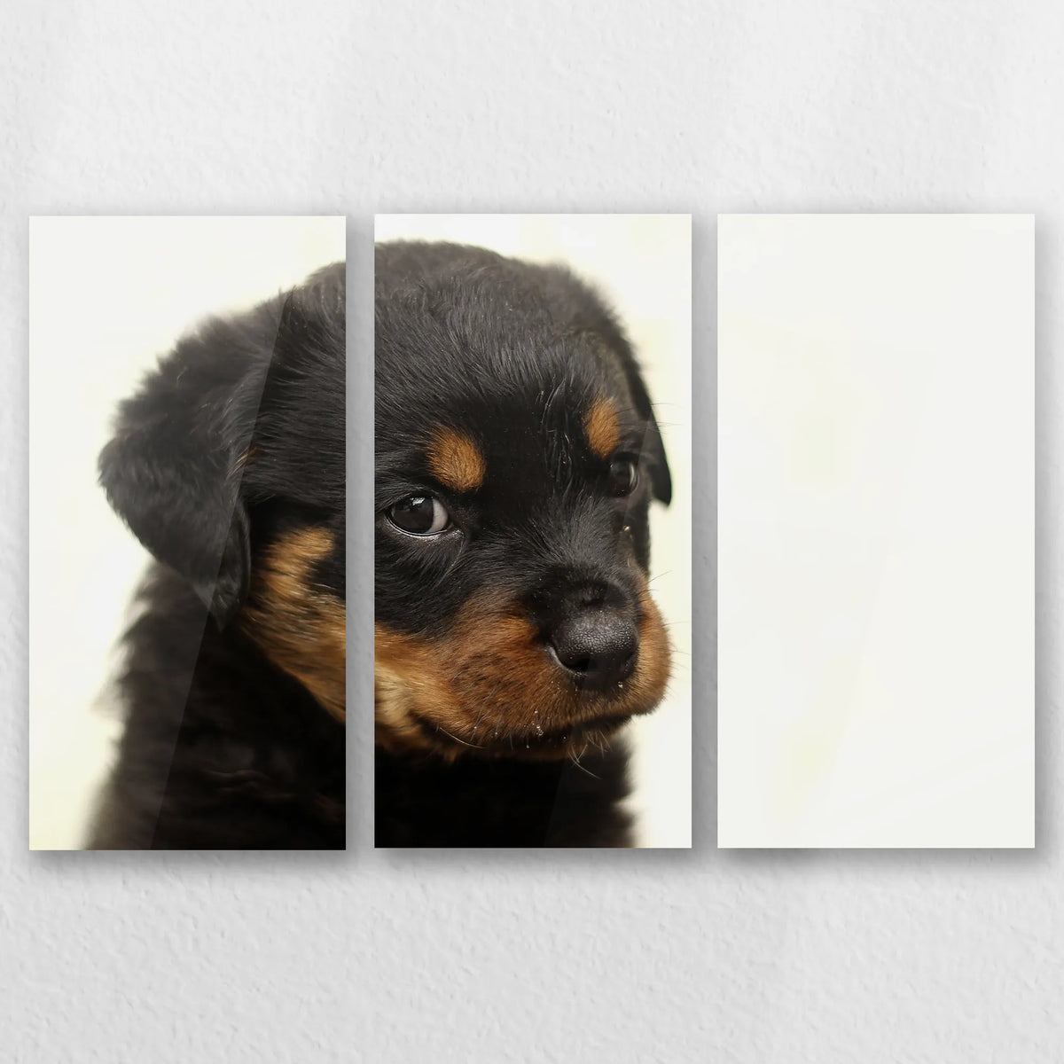 AC-060R040