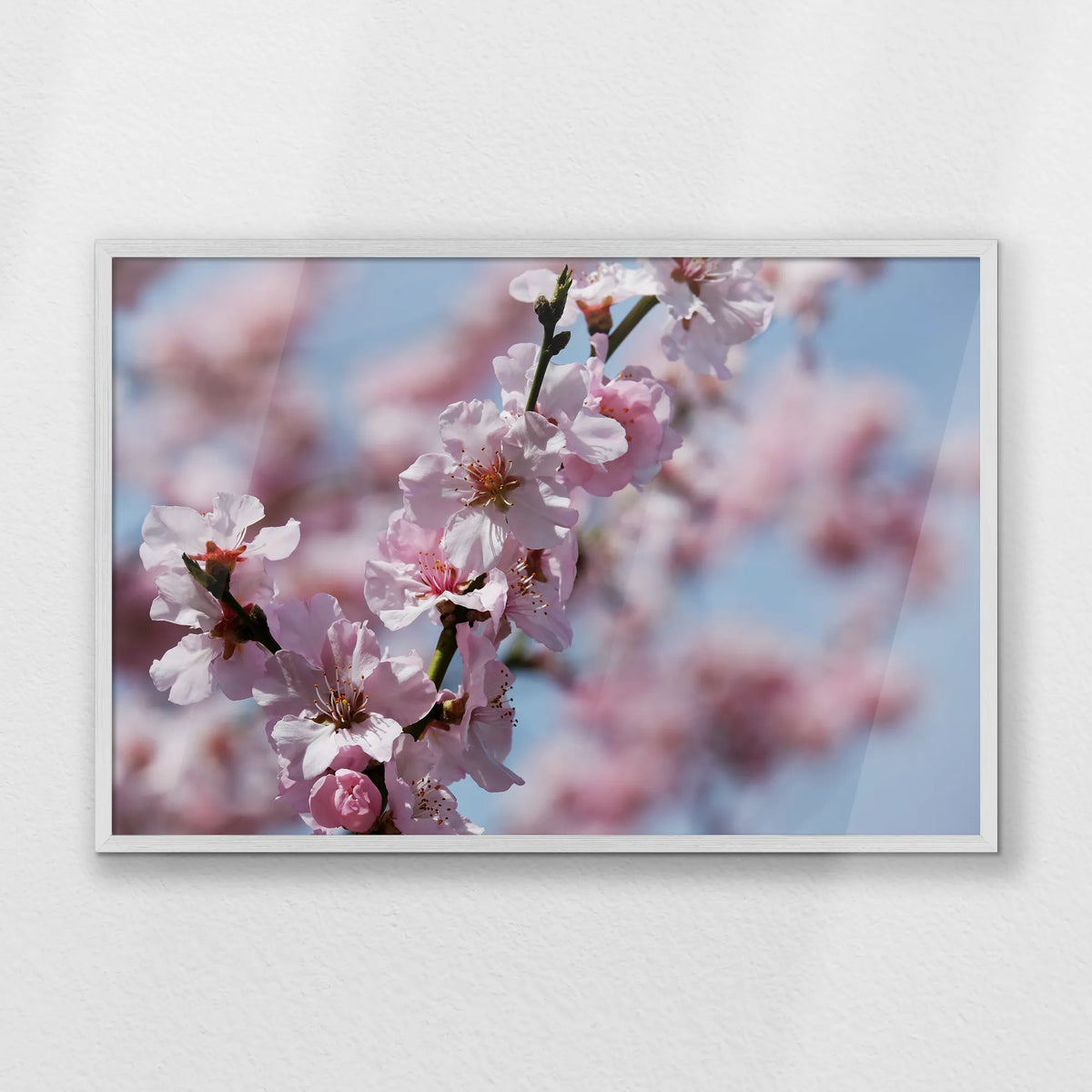 PW-093W062