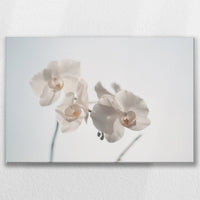 LW-090W060