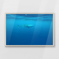 PN-093W062