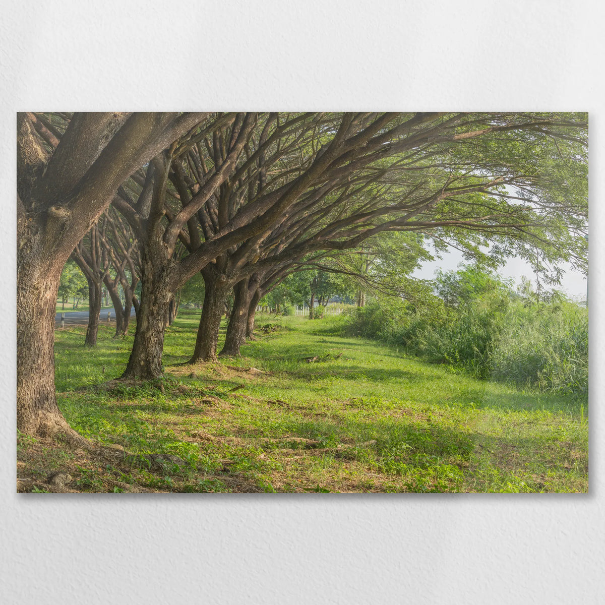 AL-075W050