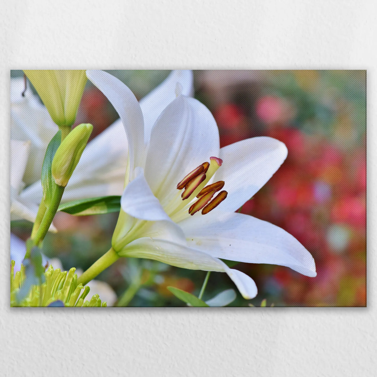 LW-120W080
