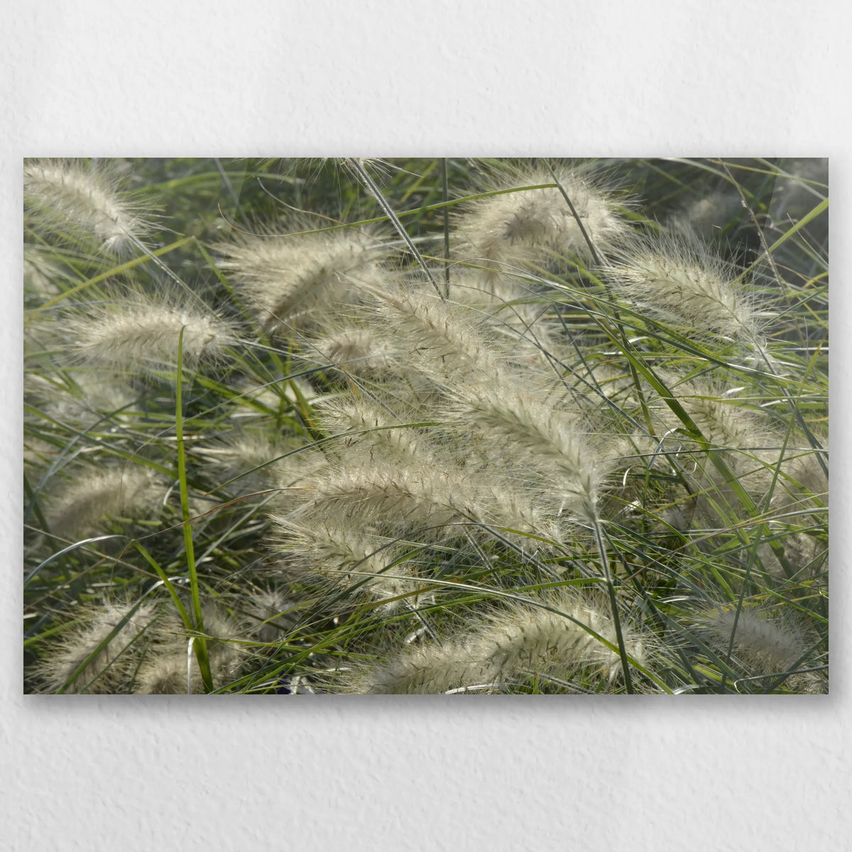 AC-030W020