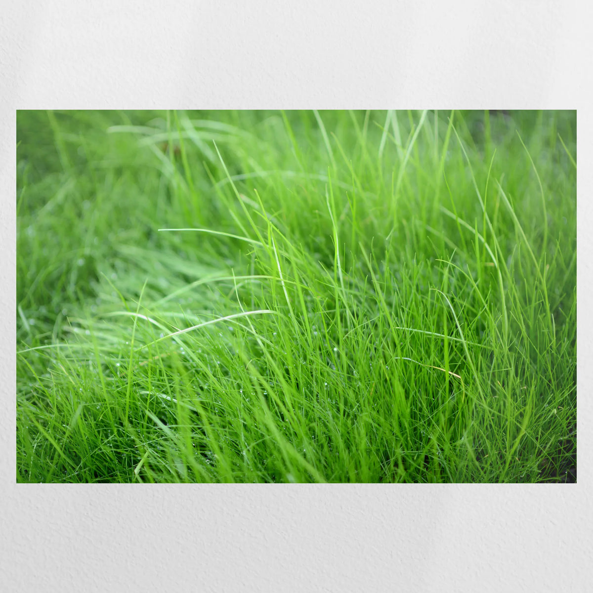 PO-075W050