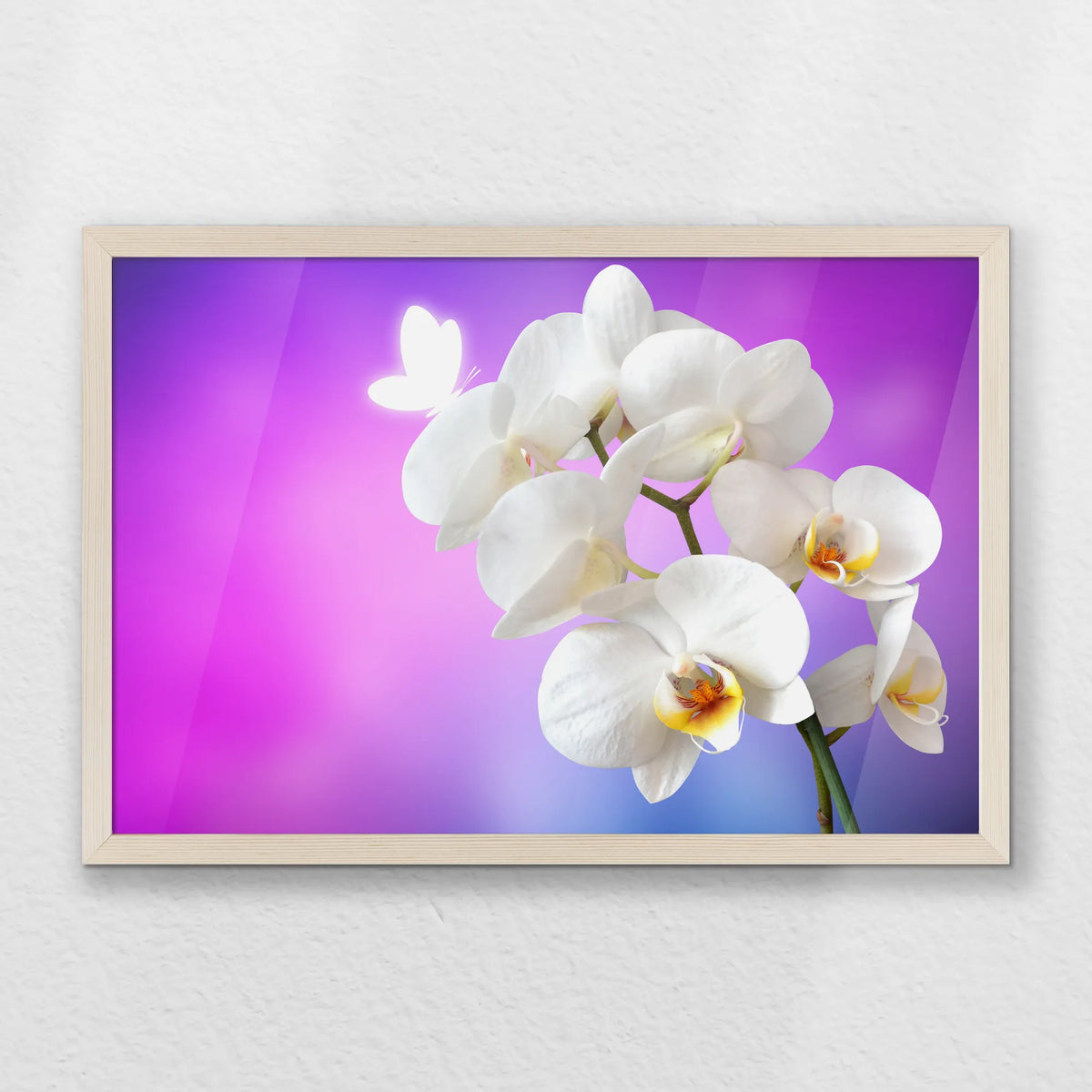 PN-060W040