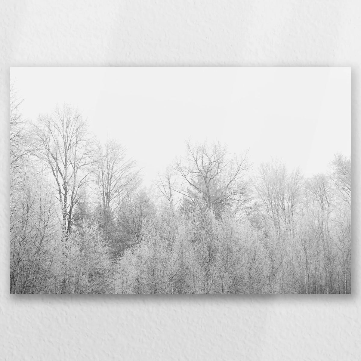 AC-030W020