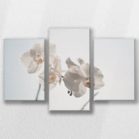 LW-060T040